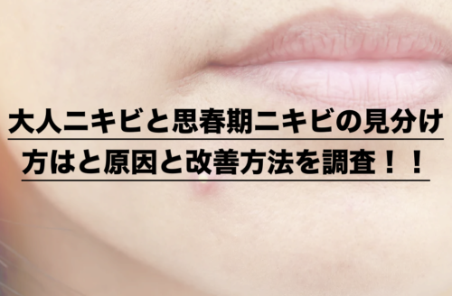 大人ニキビと思春期ニキビの見分け方はと原因と改善方法を調査 ドラ楽