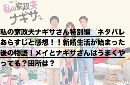 私の家政夫ナギサさん特別編 ネタバレあらすじと感想 新婚生活が始まった後の物語 メイとナギサさんはうまくやってる 田所は ドラ楽